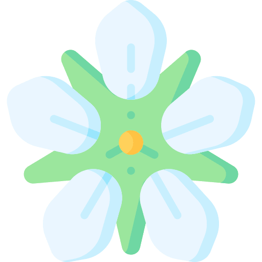 Strawberry blossoms strawberry blossoms nature flowers icon Strawberry blossoms strawberry blossoms nature flowers icon