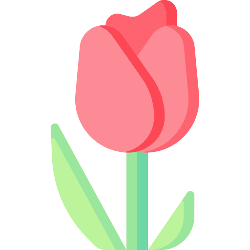 Tulip botanical tulip petals icon