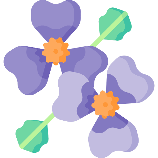 Violet violet botanical petals icon Violet violet botanical petals icon