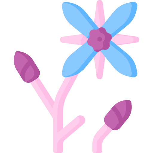 Borage botanical petals blossom icon Borage botanical petals blossom icon