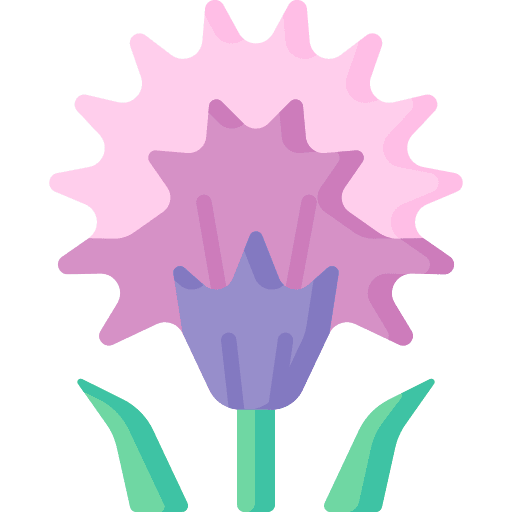 Chive blossoms chive blossoms flowers botanical icon Chive blossoms chive blossoms flowers botanical icon