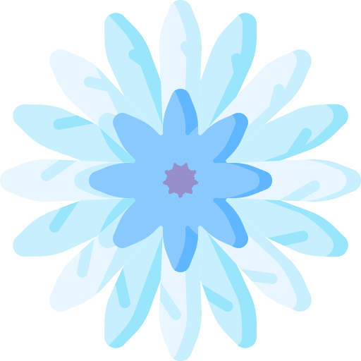 Chrysanthemum plant blossom nature icon Chrysanthemum plant blossom nature icon