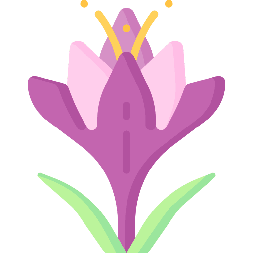 Crocus petals botanical plant icon Crocus petals botanical plant icon