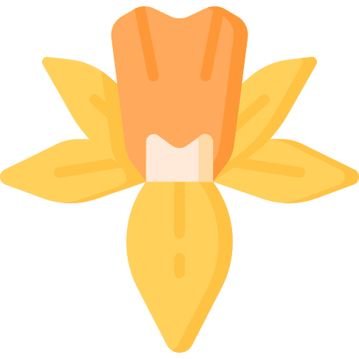Daffodil nature plant flowers icon Daffodil nature plant flowers icon
