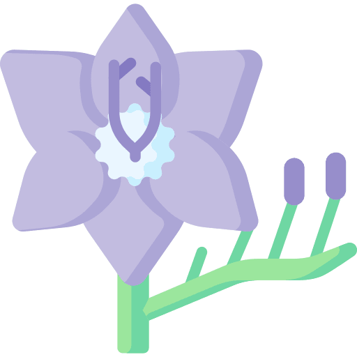 Freesia plant freesia blossom icon Freesia plant freesia blossom icon
