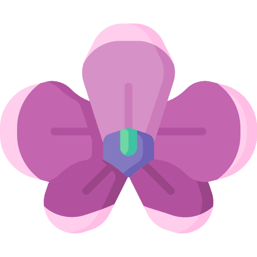 Orchid flowers orchid petals icon Orchid flowers orchid petals icon