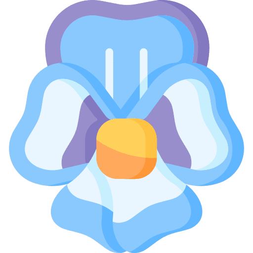 Pansy plant blossom pansy icon Pansy plant blossom pansy icon