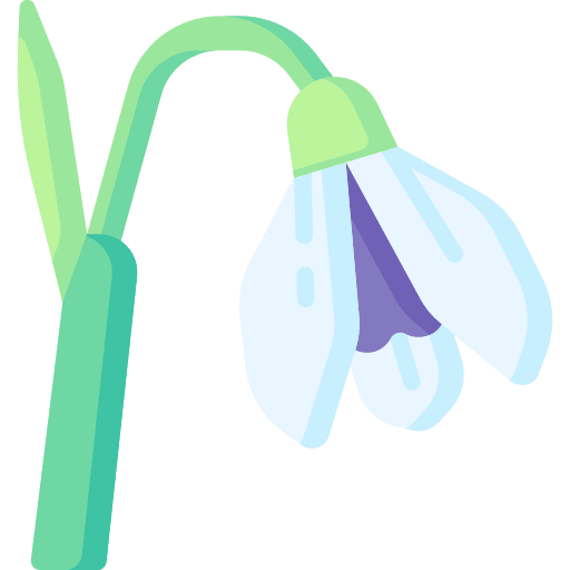 Snowdrop snowdrop botanical blossom icon Snowdrop snowdrop botanical blossom icon