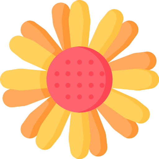 Sunflower sunflower petals blossom icon Sunflower sunflower petals blossom icon