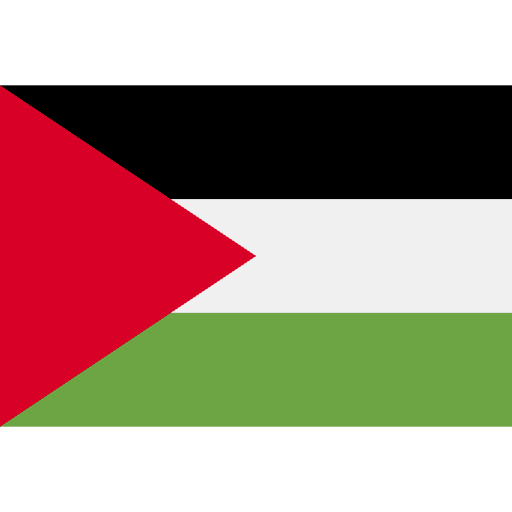 Palestine flag country world icon