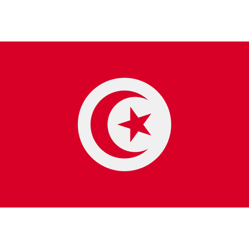 Tunisia nation tunisia flags icon