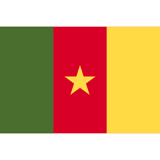 Cameroon world flag country icon Cameroon world flag country icon