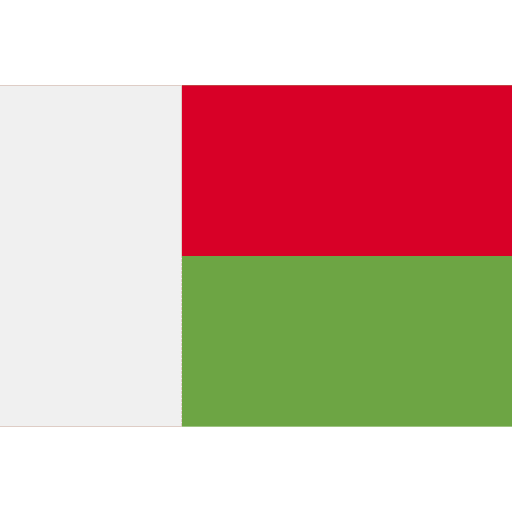 Madagascar madagascar nation flags icon Madagascar madagascar nation flags icon