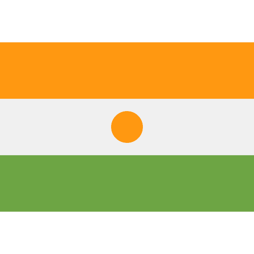 Niger nation flags niger icon Niger nation flags niger icon