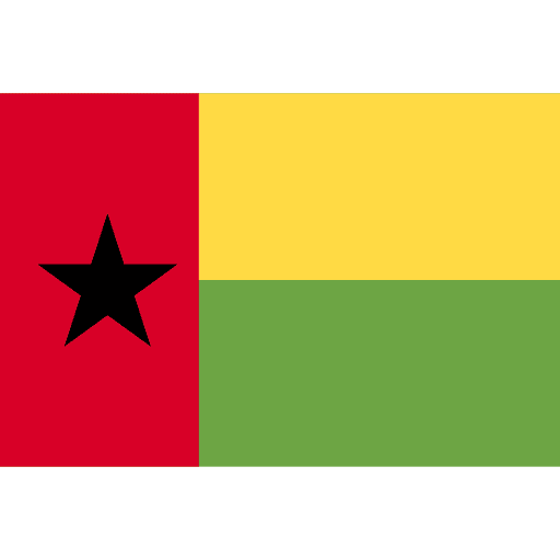 Guinea bissau flag guinea bissau flags icon Guinea bissau flag guinea bissau flags icon