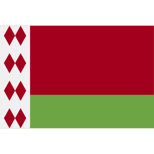 Belarus belarus world country icon Belarus belarus world country icon