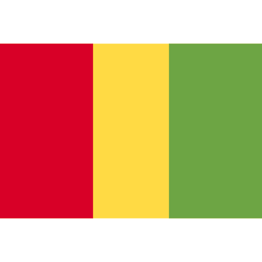 Guinea flags nation world icon Guinea flags nation world icon
