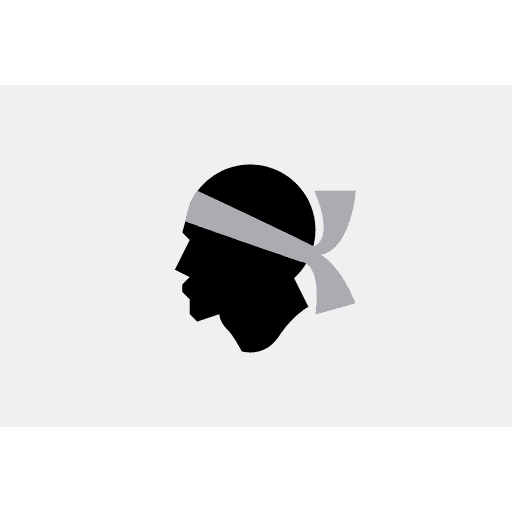 Corsica world flag region icon Corsica world flag region icon