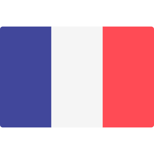 France flag variant world nation icon
