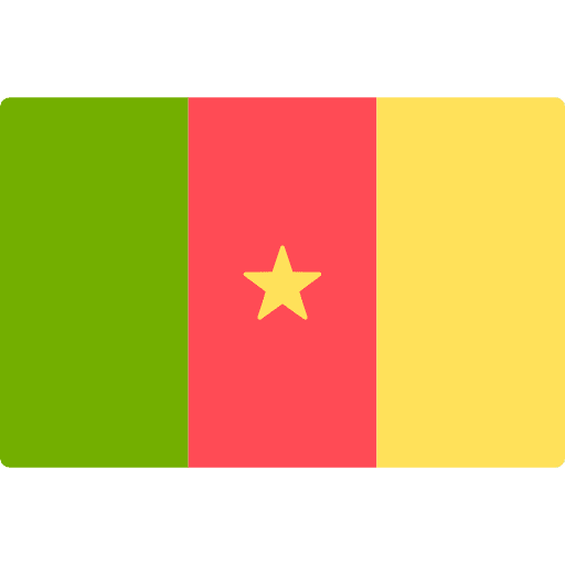 Cameroon flags cameroon country icon