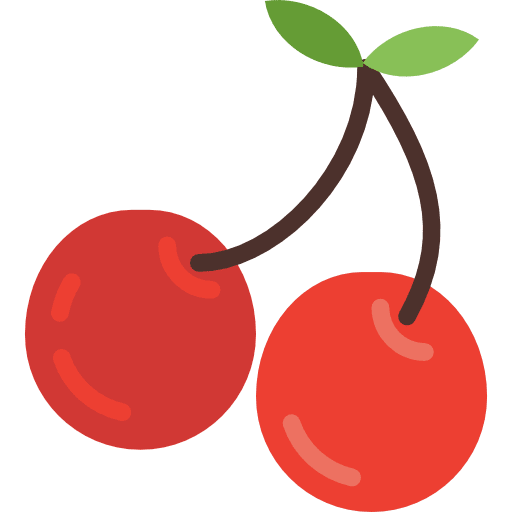Cherries diet vegan organic icon