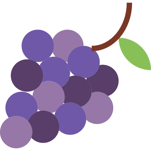 Grapes food grape berries icon