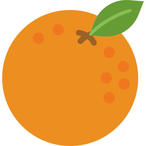 Orange vegetarian diet vegan icon