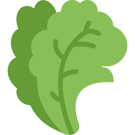 Salad vegetarian vegetable healthy food icon
