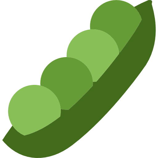 Beans vegetarian food healthy food icon