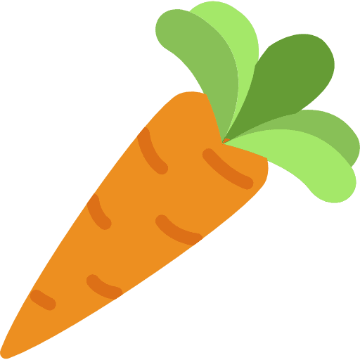 Carrot diet food healthy food icon
