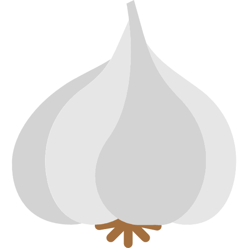 Garlic garlic fruit food icon