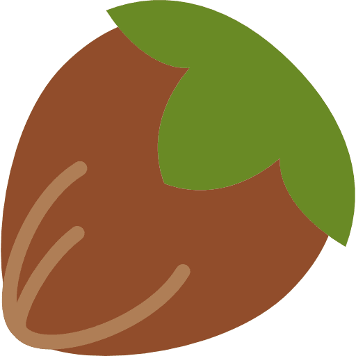 Hazelnut seed nature food icon