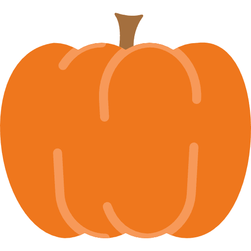 Pumpkin pumpkin organic fruit icon