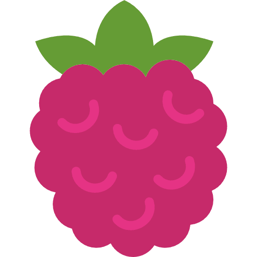 Raspberry fruit food raspberry icon