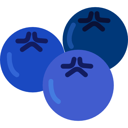 Blueberries healthy dessert blueberries icon