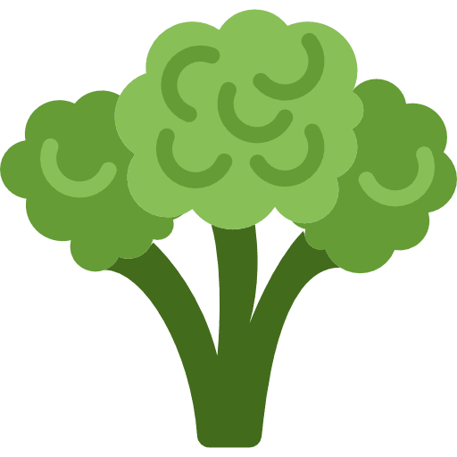 Broccoli broccoli healthy food vegetables icon