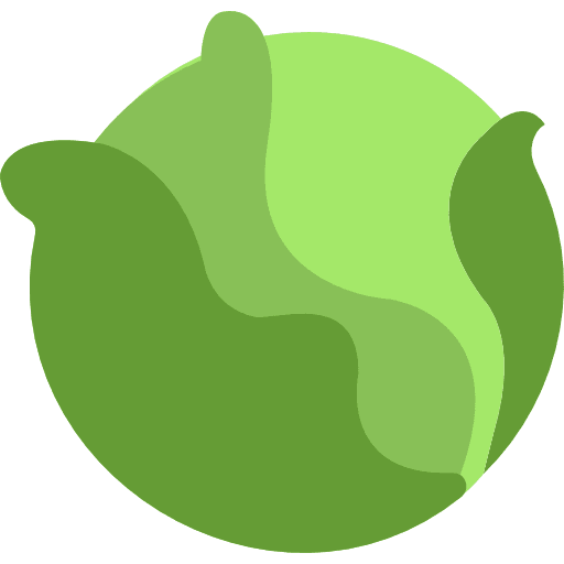 Cabbage diet healthy food cabbage icon