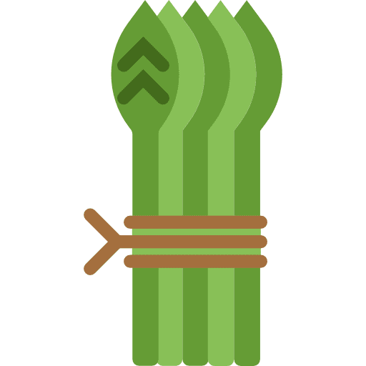 Asparagus healthy cook vegan icon