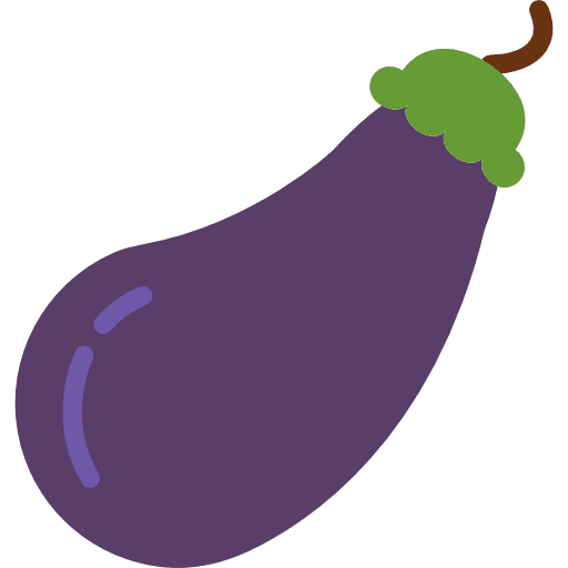 Aubergine vegetarian vegan food icon
