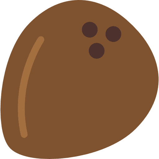 Coconut natural drink fruit icon