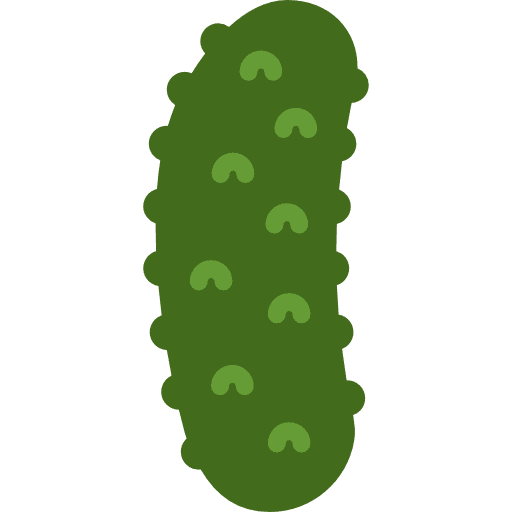 Cucumber diet organic healthy food icon