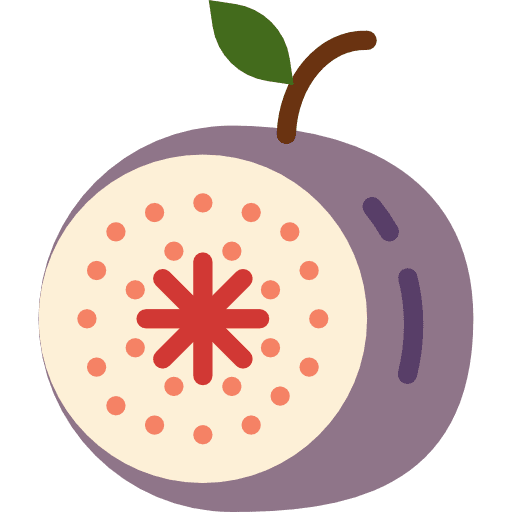 Fig healthy vegetarian vegan icon
