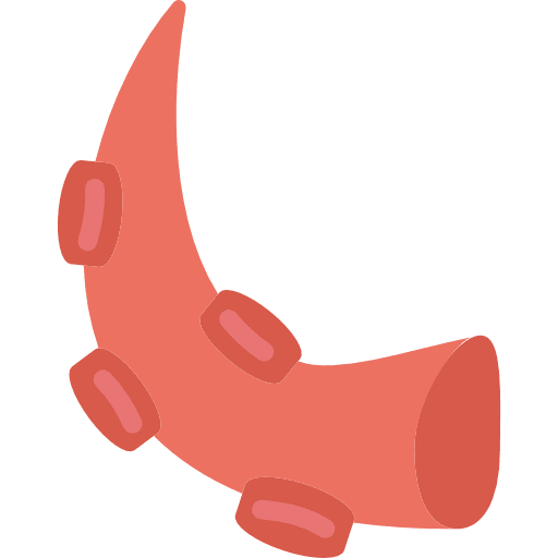 Octopus animals monster food icon