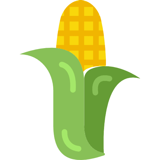 Corn vegetarian food organic icon