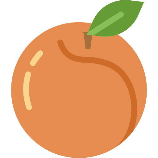 Peach vegan diet fruit icon