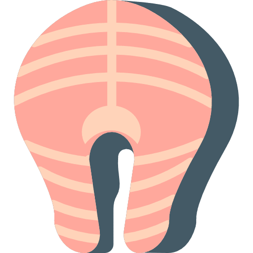 Salmon food healthy healthy food icon