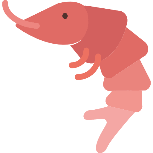 Shrimp seafood food sea life icon