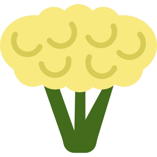 Cauliflower vegan food vegetarian icon