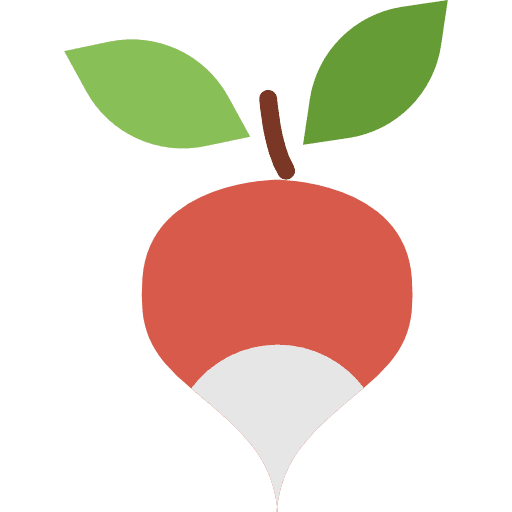 Radish vegetable vegan healthy food icon