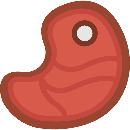 Steak food proteins barbecue icon